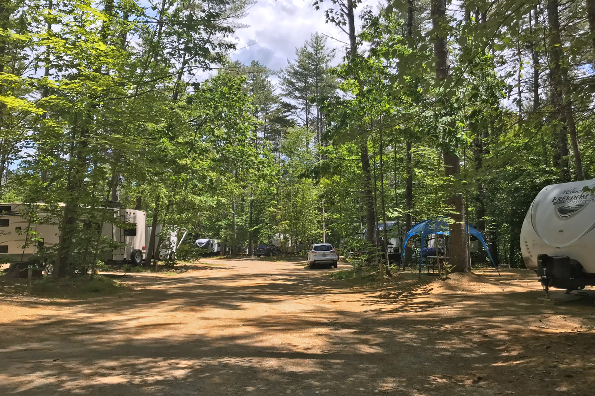 D-Section Campsites at Pine Haven Campground